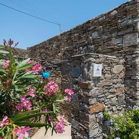 Apelagitis 2 * Katavati