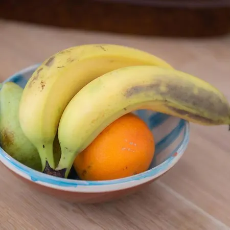 Apartment Apelagitis 2