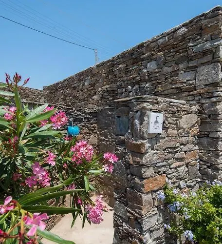 Apelagitis 2 * Katavati